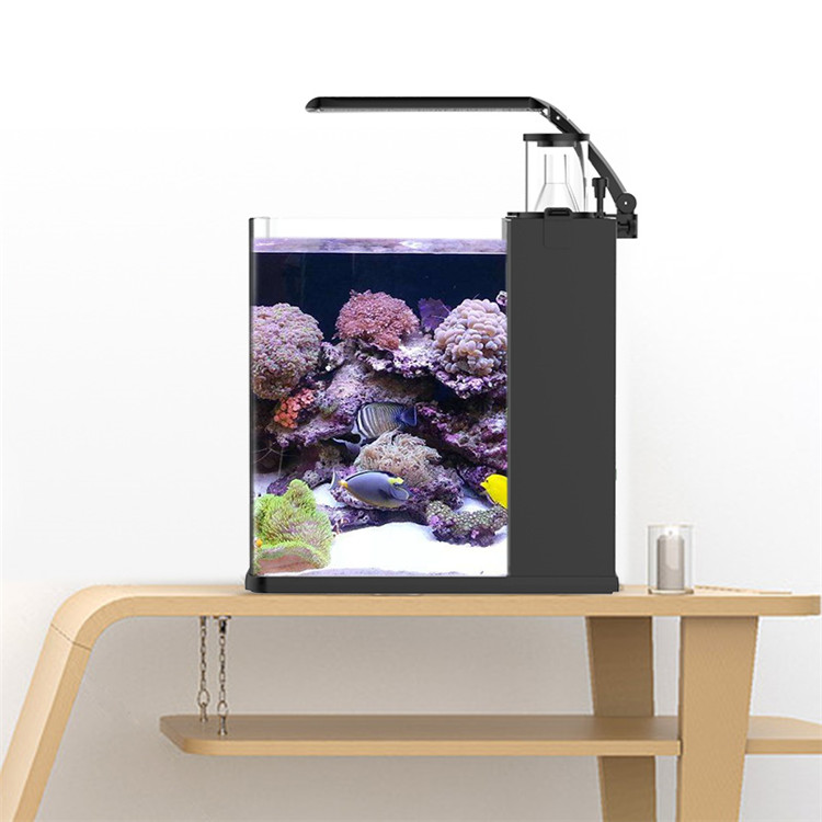 Marine Aquarium Cube - Skynuo Mini Aquarium Marin en Verre