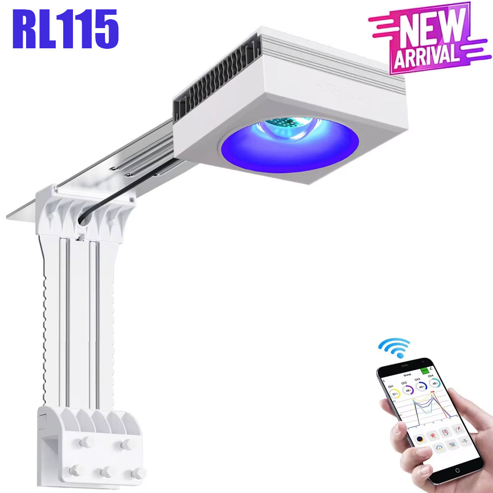 Nouveau PopBloom RL115 WiFi lu - Marine Coral avis et prix