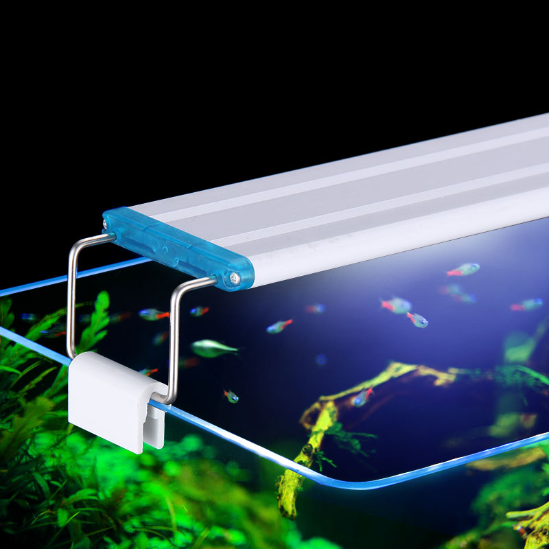 Extensible Étanche Clip sur La - Aquarium Marine Lights avis et prix