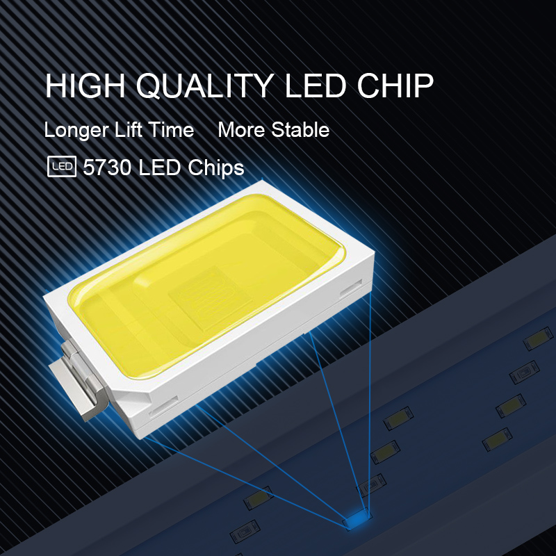 Extensible Étanche Clip sur La - Aquarium Marine Lights avis et prix
