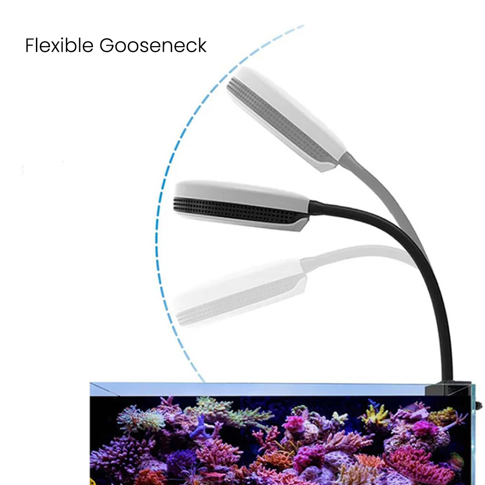 Lampe LED Spectra SP20 20W pou - Marine Coral avis et prix