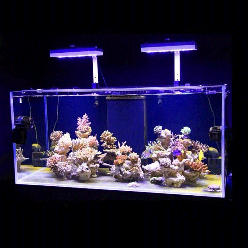 Aqua Illumination AI Hydra 32H - Marine Coral avis et prix