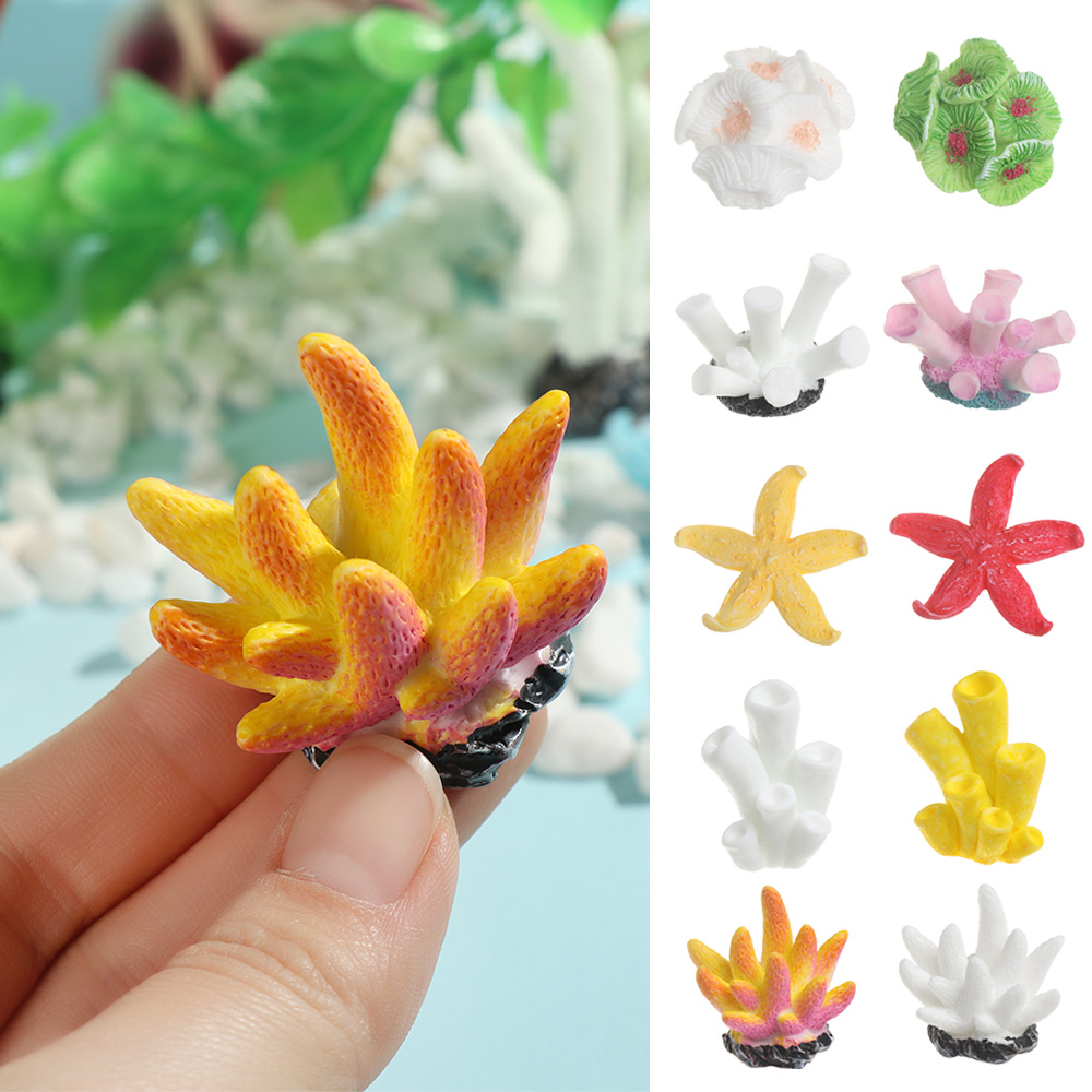Ornements en résine d'étoile d - Reef Aquarium avis et prix