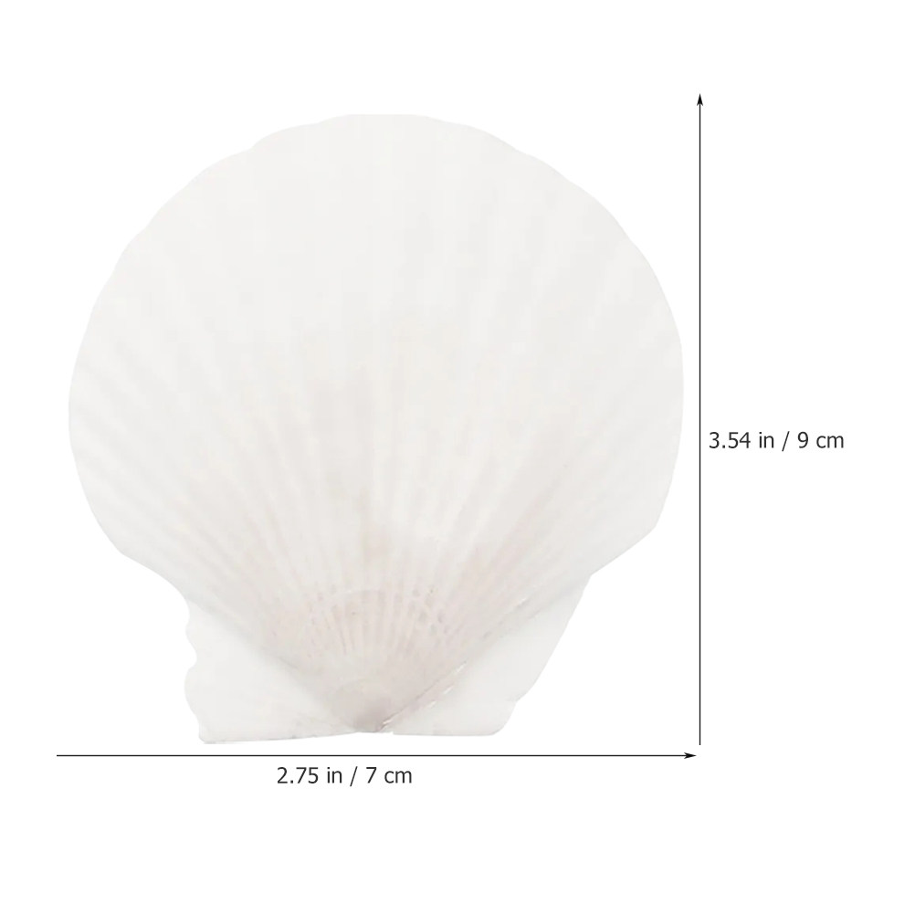 16 coquilles de moules naturel - Marine Aquarium avis et prix