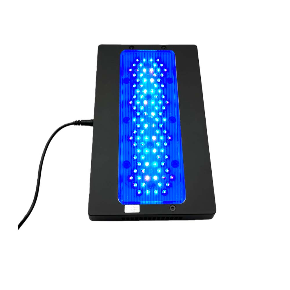 A8 III Moon Light : Lampe puis - Marine Coral avis et prix
