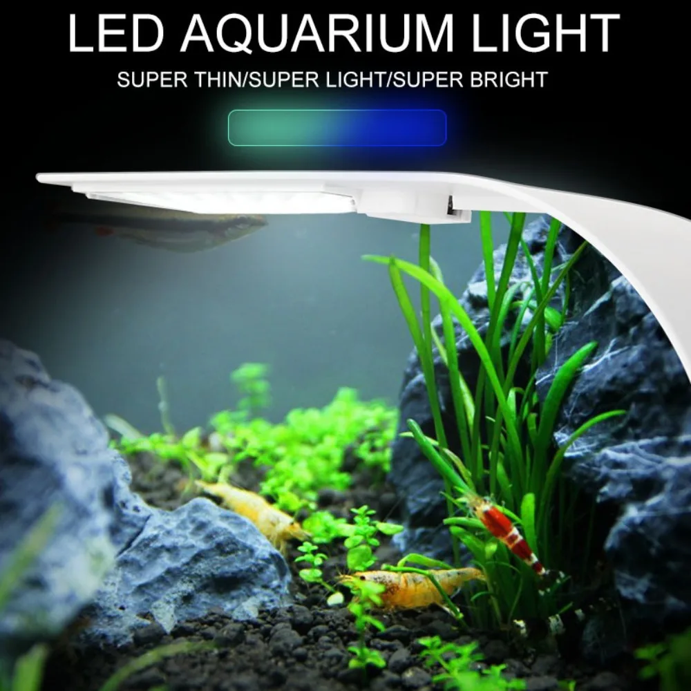 Mini lumière d'aquarium LED 5W - Reef Lighting avis et prix