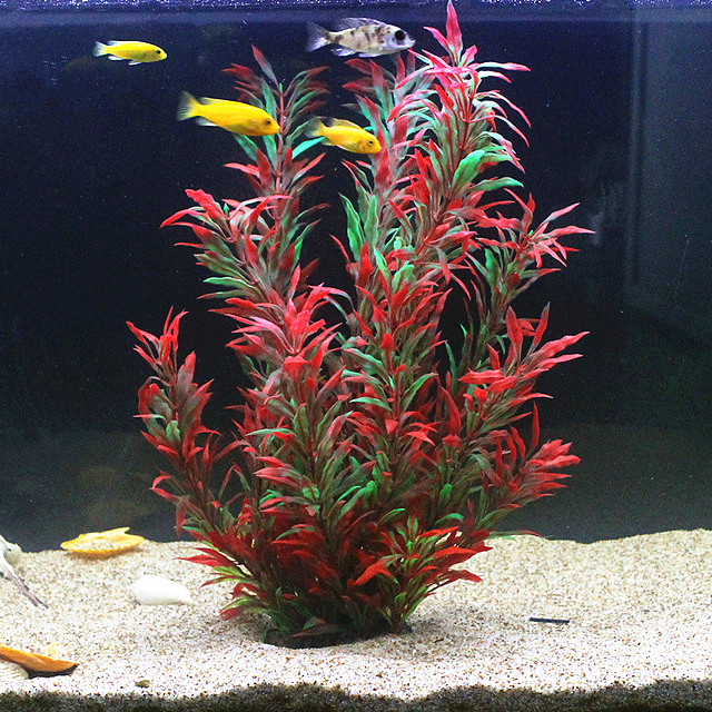 Plantes artificielles pour aqu - Marine Fish Tank avis et prix