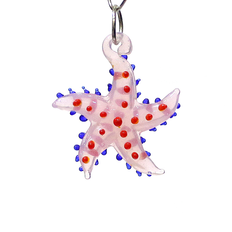 Animaux marins mignons étoiles - Marine Aquarium avis et prix