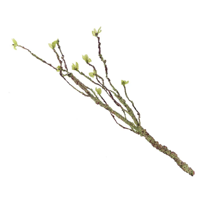 Vignes décor Branches d'escala - Marine Fish Tank avis et prix